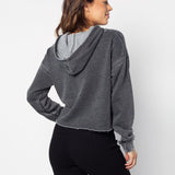 Harvard Big Logo Mid-Length Hoodie