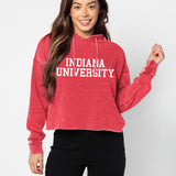 Campus Hoodie Indiana Hoosiers in Cardinal