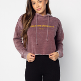 Campus Hoodie Iowa State Cyclones in Merlot