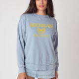 Michigan Wolverines Statistics Burnout Hi-Lo Crew